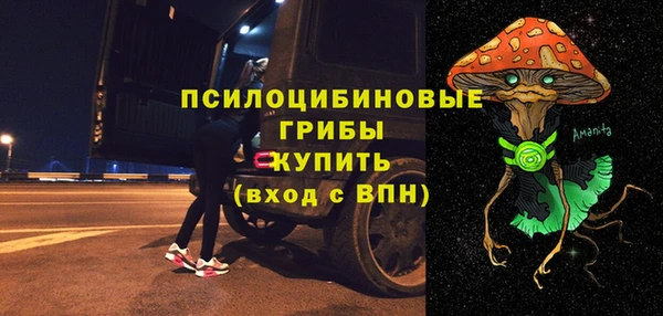 крисы Арсеньев
