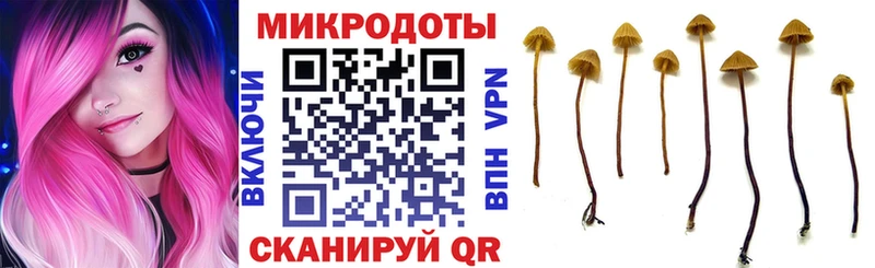 Псилоцибиновые грибы Psilocybine cubensis  Белокуриха 